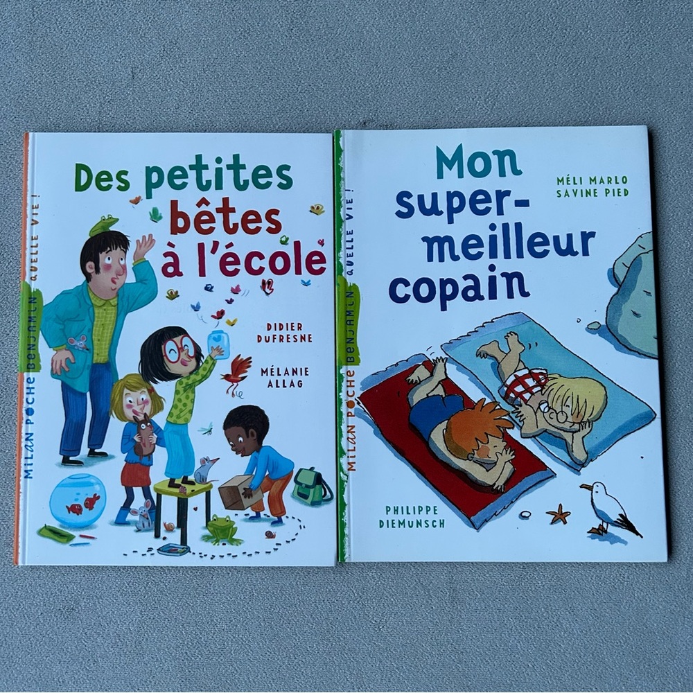 FRENCH ~ Set of 2 ~ Milan Poche Benjamin Series ~ Brand New!